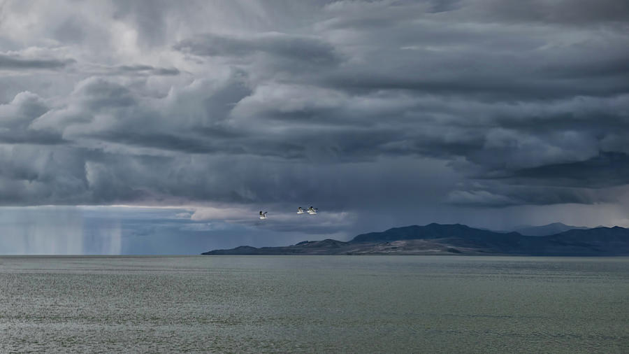 Storm Over Antelope Island Photograph by CR Courson
