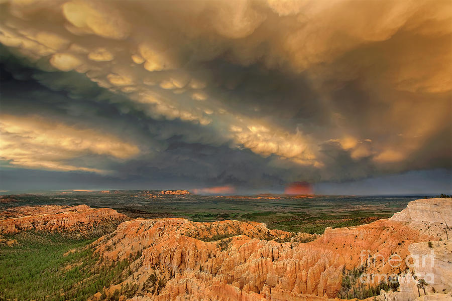Storm Over Bryce Canyon National Park Utah Photograph by Dave Welling