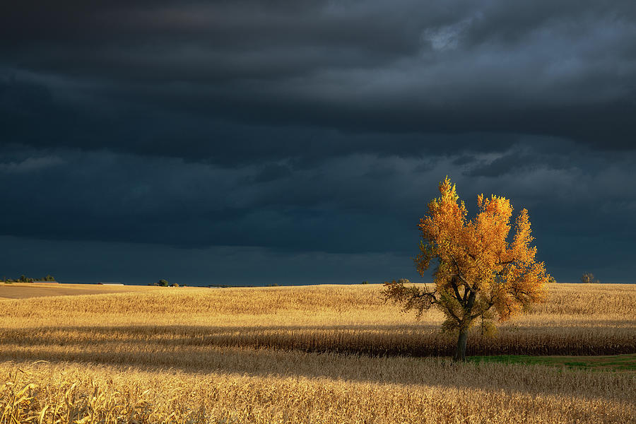 Storm Over The Nebraska Plains Photograph