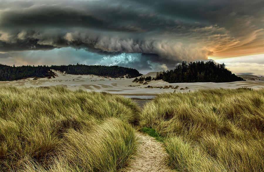 Tree Photograph - Storm over Umpqua Beach Dunes by Bonnie Moreland