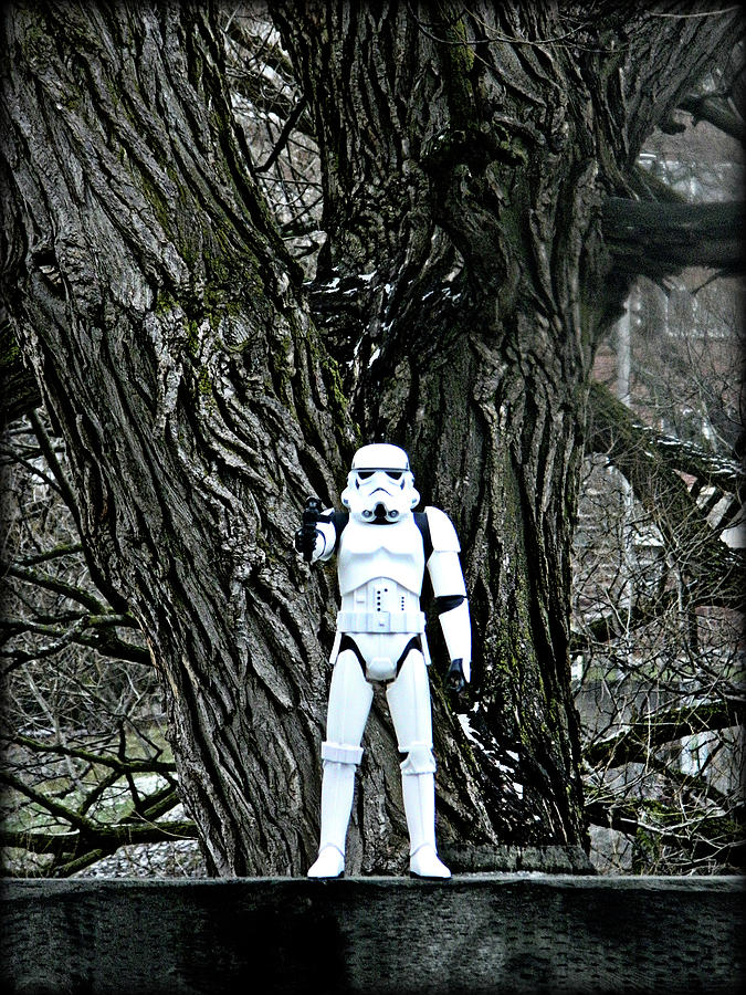Storm Trooper 1 Photograph by Cyryn Fyrcyd
