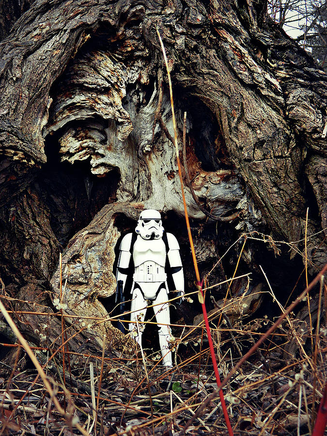Storm Trooper 10 Photograph by Cyryn Fyrcyd