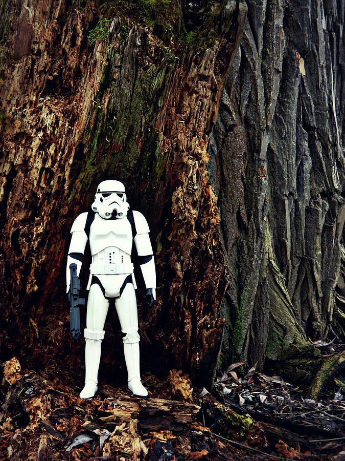 Storm Trooper 4 Photograph by Cyryn Fyrcyd
