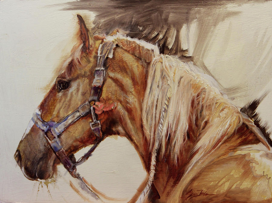 Horse Painting - Stormcloud  by Susie Gordon