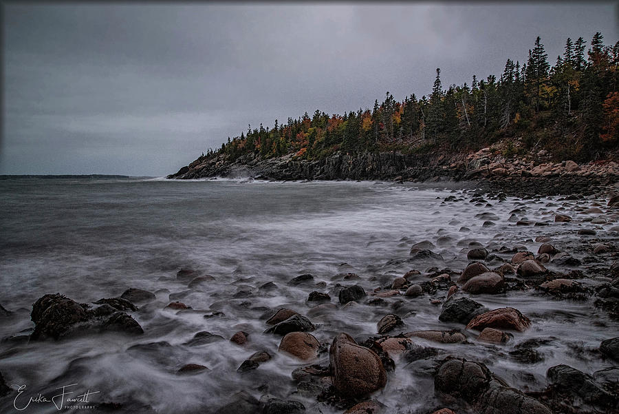 Stormy Acadia Photograph by Erika Fawcett