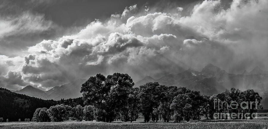Black And White Photograph - Stormy Afternoon  by Sandra Bronstein