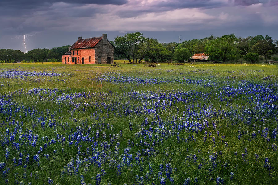 Stormy Bluebonnet House Photograph by Harriet Feagin - Fine Art America