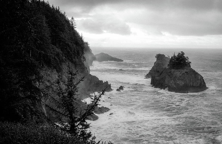 Stormy Day Photograph by Misty Tienken