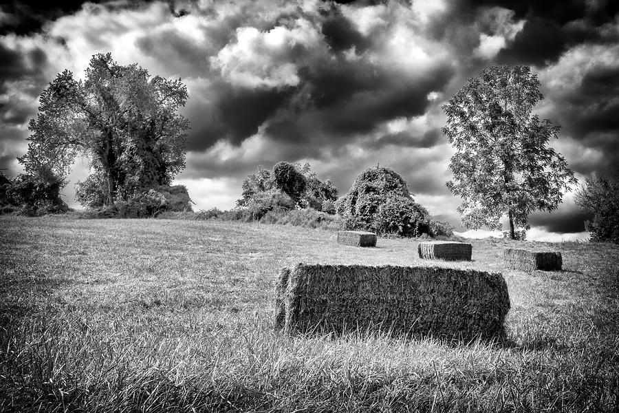 Stormy Field Photograph by Scott Wyatt