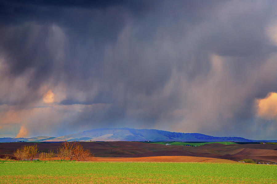 Stormy Palouse Photograph By David Patterson Fine Art America