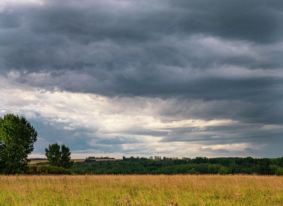 Tree Photograph - Stormy Sky And Field by Phil And Karen Rispin
