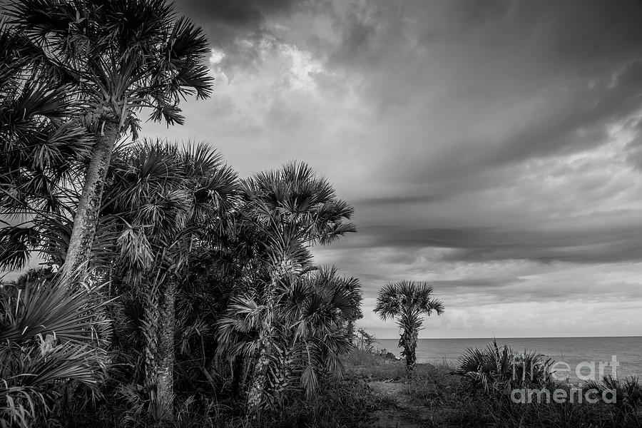 Stormy Sky at Caspersen Beach, Florida 3 Photograph by Liesl Walsh