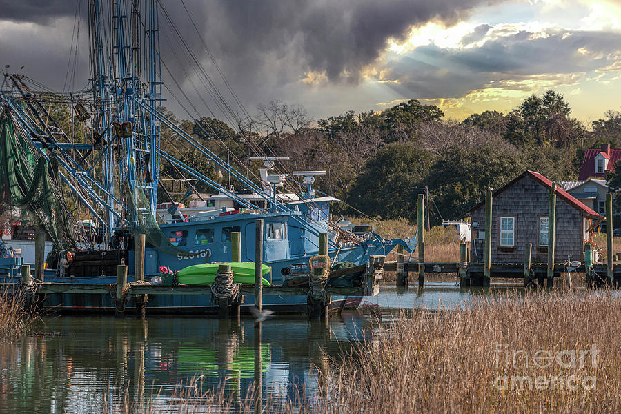 Stormy Sky over Shem Creek - Sea Horse  Photograph by Dale Powell