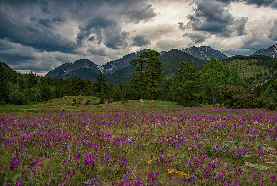 Rocky Mountain National Park Photograph - Stormy Summer Skies by Darlene Bushue