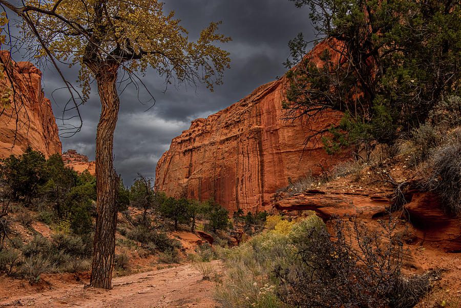 Nature Photograph - Stormy Utah by Paul Freidlund