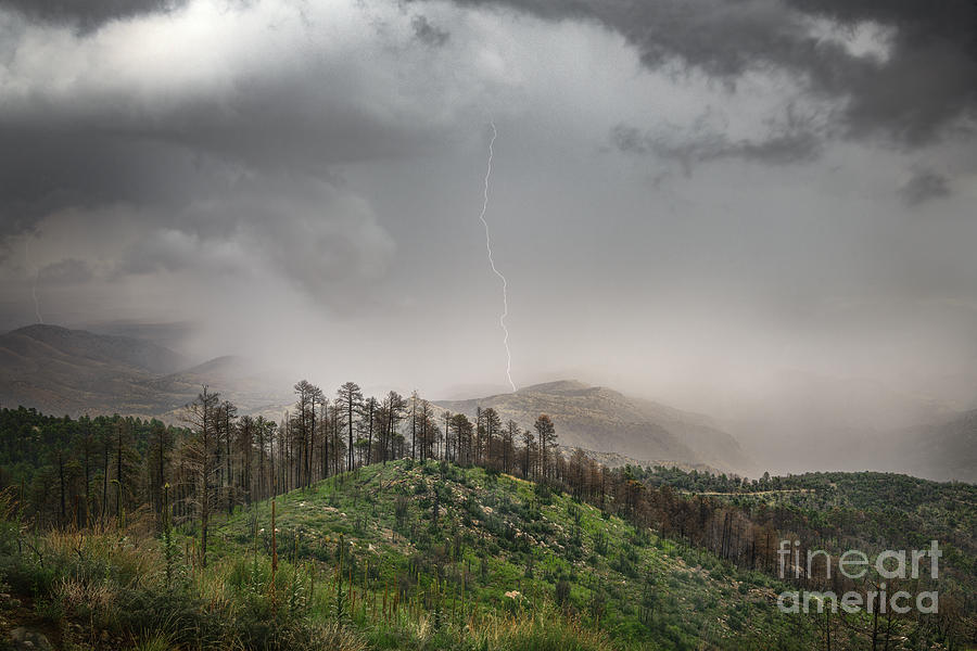 Stormy View in the Mountain Photograph by Lisa Manifold