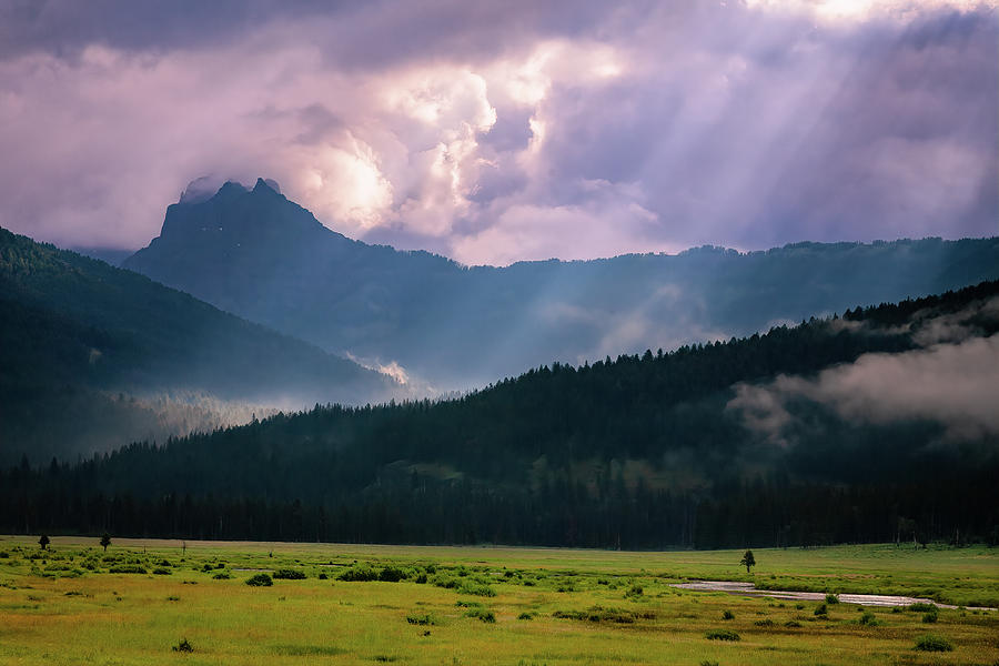 Stormy Weather at Yellowstone Photograph by Jack Bell