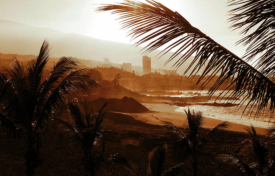 Stormy weather with palm trees on the beach in sepia color Photograph by Severija Kirilovaite