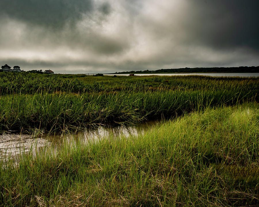 Stormy Wetland Photograph by Cathy Kovarik