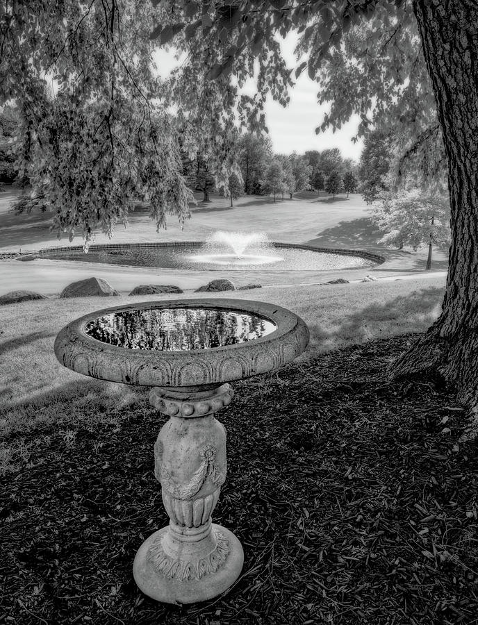 Stoughton WI Country Club - Birdbath and Pond Fountain at #9 Photograph by Peter Herman