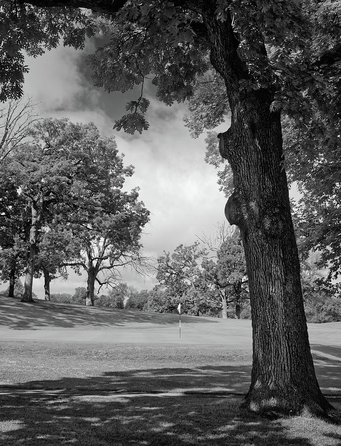 Stoughton WI Country Club - Mighty Oak at #10 Photograph by Peter Herman