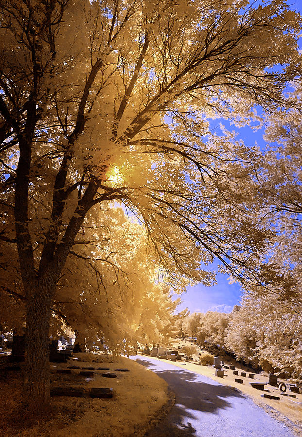 Stoughton WI Riverside Cemetery in Infrared on a midsummer day Photograph by Peter Herman