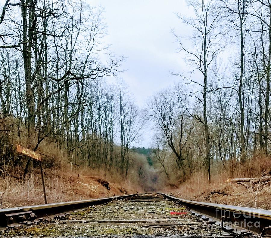 Straight Line Rail Photograph by Kat Langworthy - Fine Art America