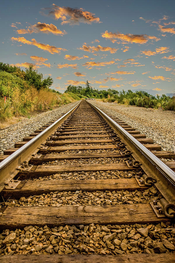 Straight Railroad Tracks at Dusk Photograph by Darryl Brooks