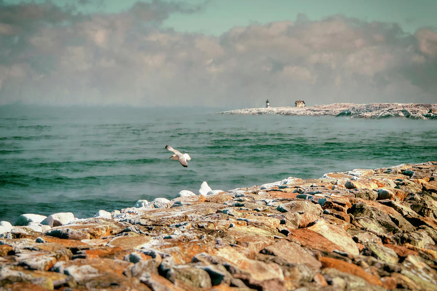 Straitsmouth Island Light - Rockport, Ma. Photograph by Joann Vitali