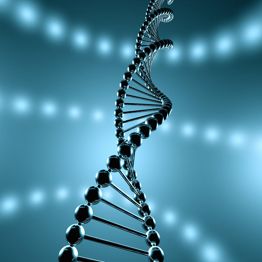 Strand of dna Photograph by Artpartner-images