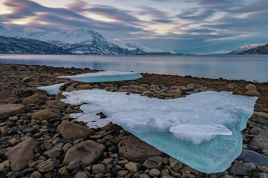 Stranded ice Photograph by Thomas Kast