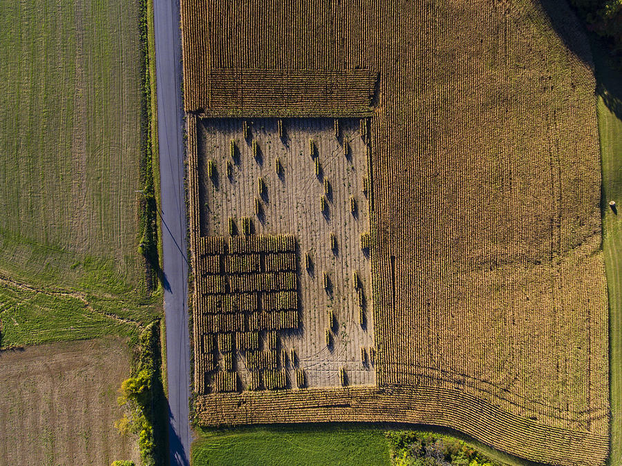 Strange Harvest patterns in farm field Photograph by Matt Champlin