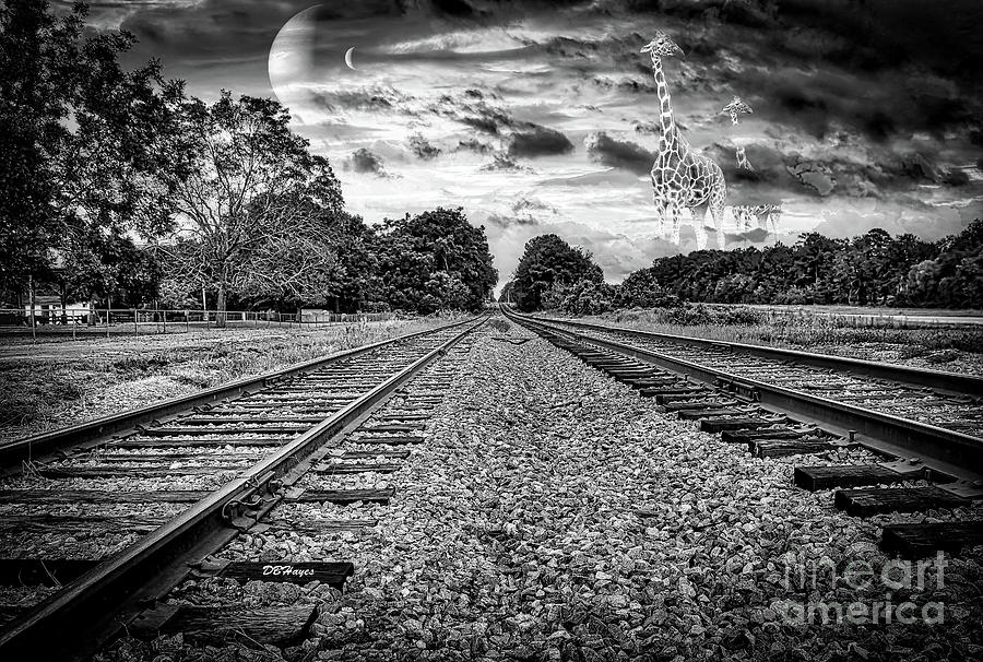 Strange World In Black And White Photograph by DB Hayes