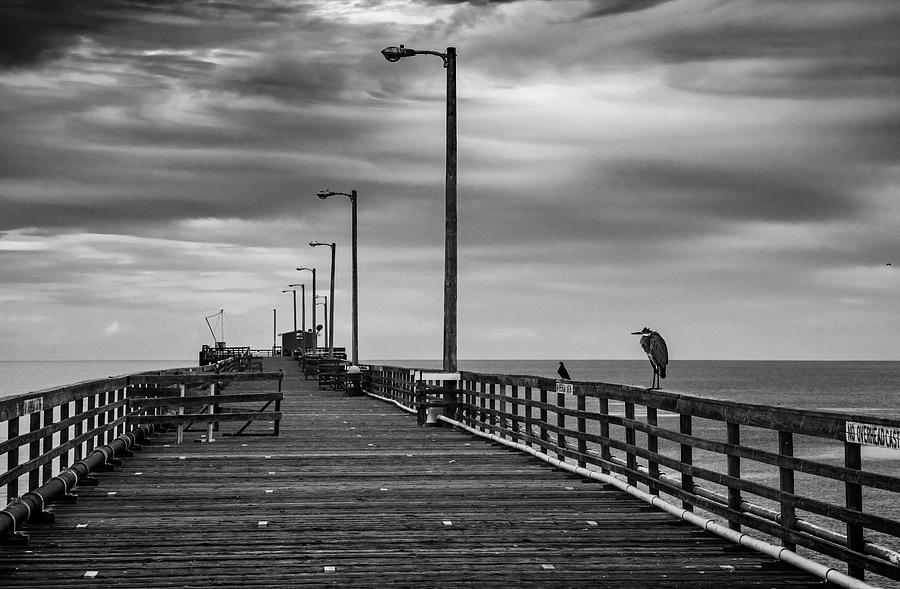 Stranger on the Pier Photograph by Grant Sorenson