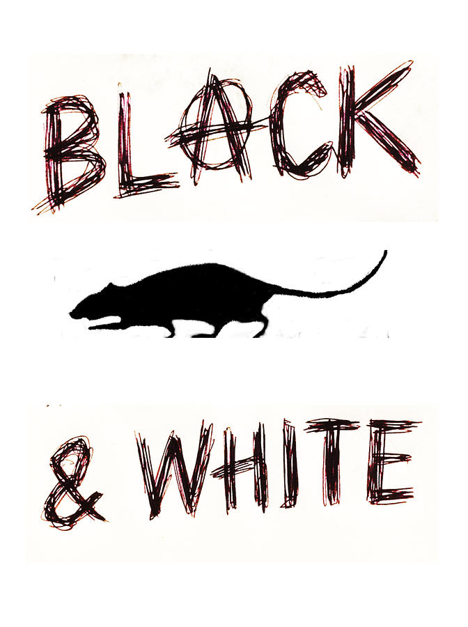 Joe Strummer Drawing - Stranglers Black And White Art  by Paul Sutcliffe