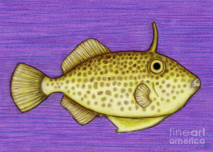 Strapweed Filefish Painting by Amy E Fraser