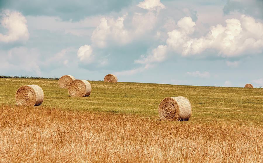 Straw Bales Stacked In A Field At Summer Time Photograph By Artush Foto 