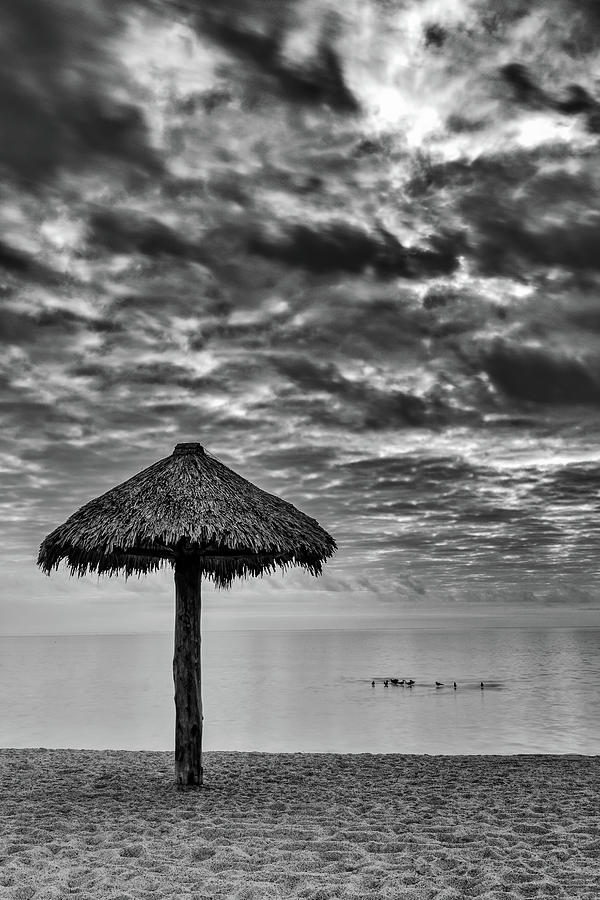 Straw Beach Umbrella on a cloudy day on Rockport Beach, TX Photograph by David Ilzhoefer