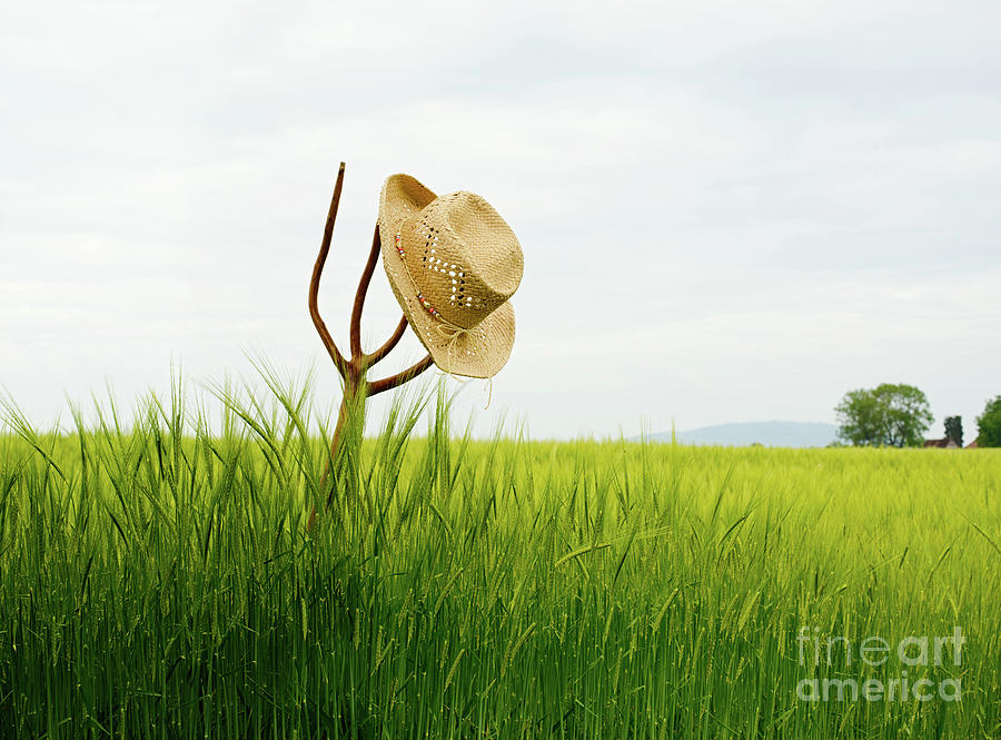 Summer Photograph - Straw Hat In Landscape by Amanda Elwell