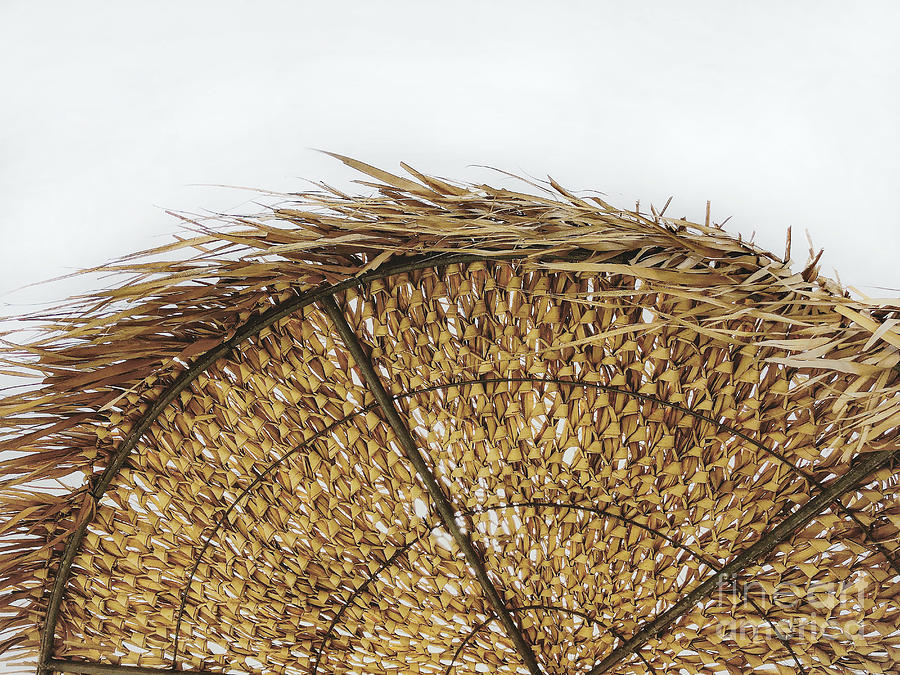 Straw in the Wind Photograph by Alyssa Weisberg Fine Art America