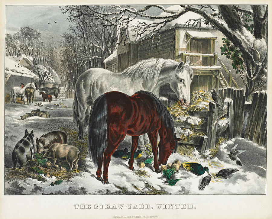 Straw-yard, Winter Drawing by Nathaniel Currier