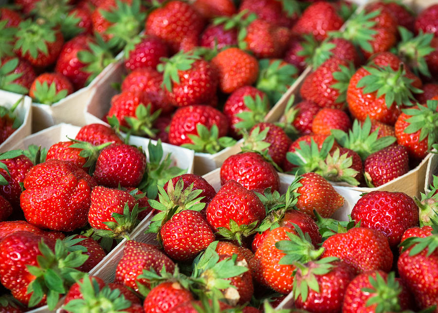 Strawberries Photograph by A J Withey