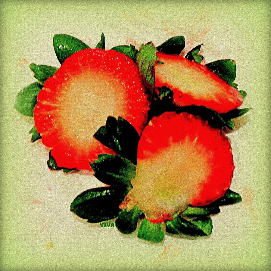 Strawberries Afield Photograph by VIVA Anderson