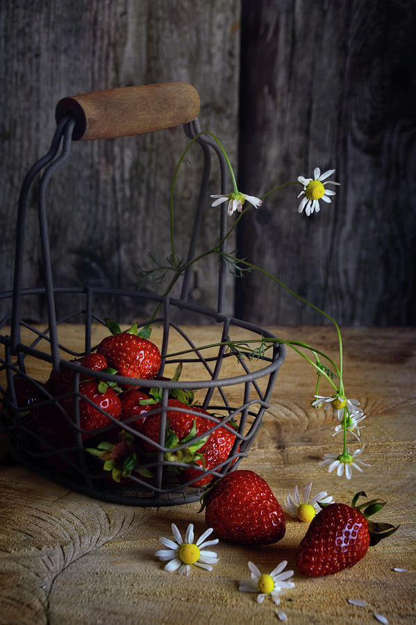 Strawberries And Chamomile Photograph