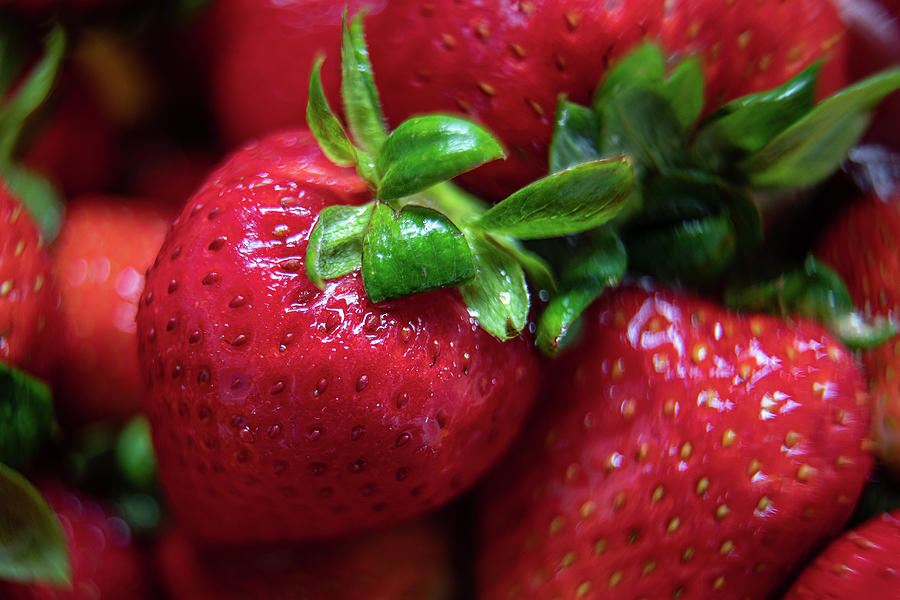Strawberries Photograph by Denise Kopko