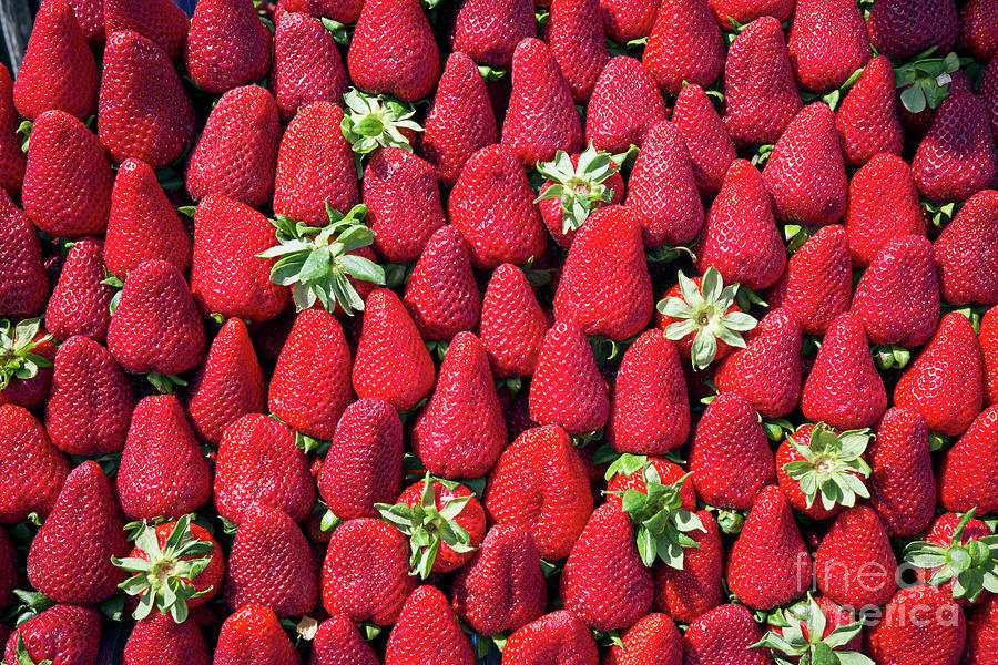 Strawberries   Photograph by George Atsametakis