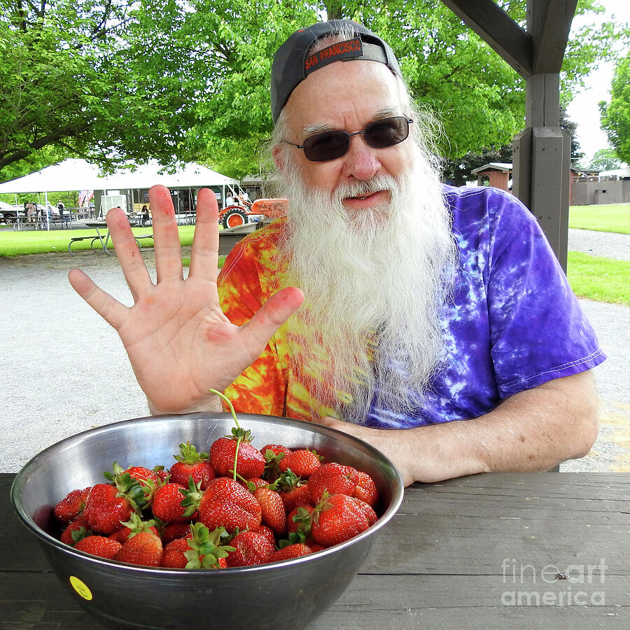 Strawberries PYO Picker Hand SQ Photograph by GJ Glorijean - Pixels