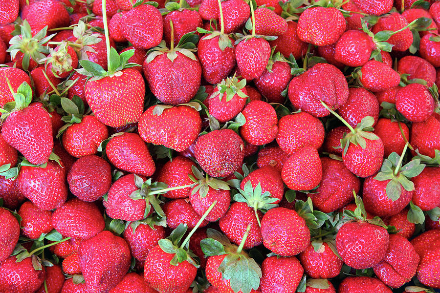 Strawberry Background Photograph by Mikhail Kokhanchikov