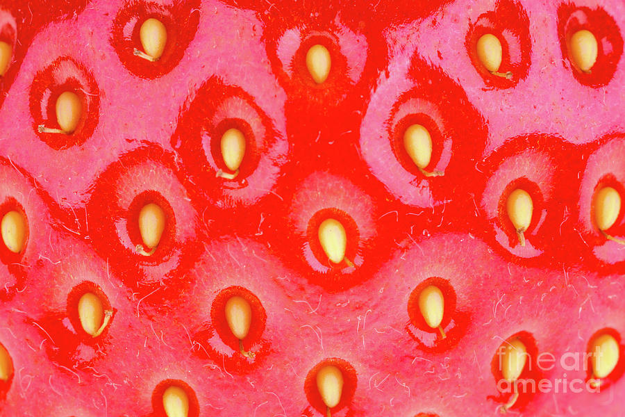 Strawberry background texture Photograph by Jane Rix