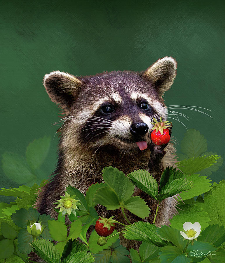 Strawberry Bandit Digital Art by M Spadecaller